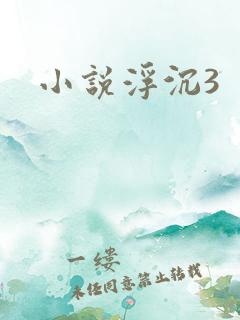 小说浮沉3