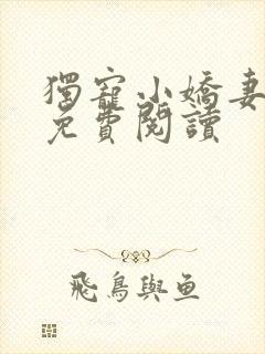 独宠小娇妻全文免费阅读