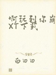 啊玩到你崩溃TXT下载