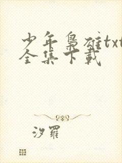 少年枭雄txt全集下载