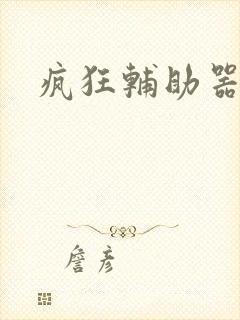 疯狂辅助器