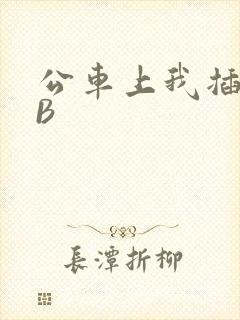 公车上我插上骚B