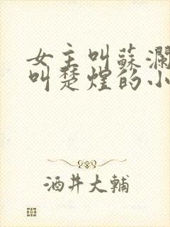 女主叫苏澜男主叫楚煜的小说