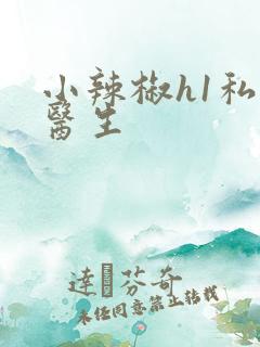 小辣椒h1私人医生