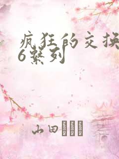 疯狂的交换1一6系列
