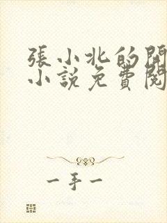 张小北的开光师小说免费阅读怎么没有276章