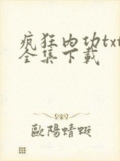疯狂内功txt全集下载