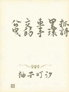 公交车里抓着摇曳的手环诗情