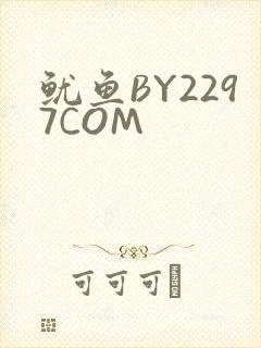 鱿鱼BY2297COM