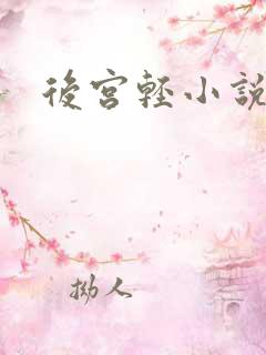 后宫轻小说
