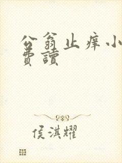 公翁止痒小说免费读