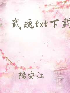 武魂txt下载