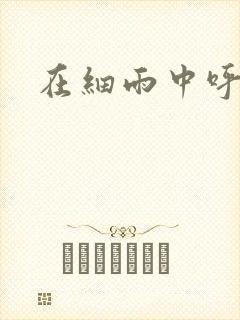 在细雨中呼喊