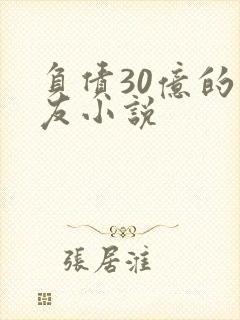 负债30亿的男友小说