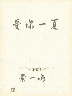 爱你一夏