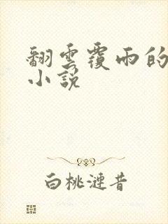 翻云覆雨的秘密小说