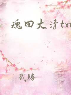 魂回大清txt