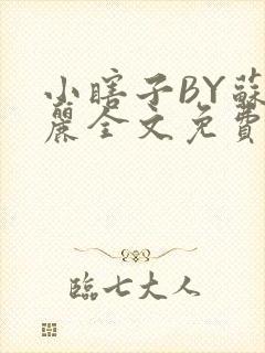 小瞎子BY苏玛丽全文免费笔趣阁