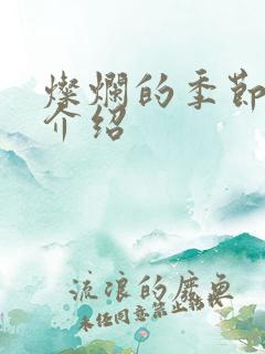 灿烂的季节剧情介绍