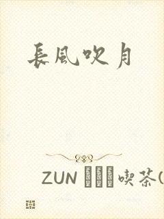 长风吹月