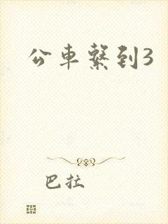 公车系到3