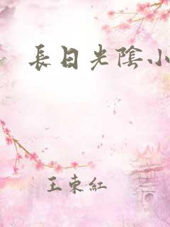长日光阴小说