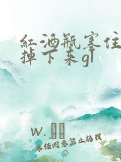 红酒瓶塞住不准掉下来gl