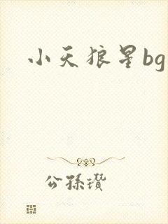 小天狼星bg