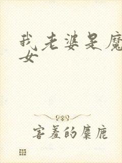 我老婆是魔法少女