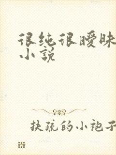 很纯很暧昧有声小说