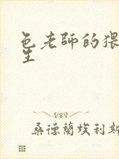 色老师的猥琐人生