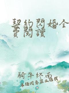 契约闪婚全文免费阅读