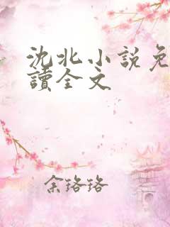 沈北小说免费阅读全文