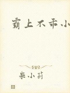 霸上不乖小逃妻