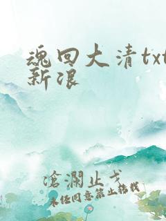 魂回大清txt新浪