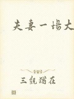 夫妻一场大结局