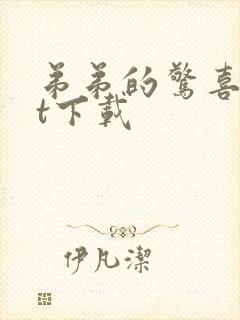 弟弟的惊喜txt下载