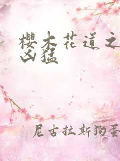 樱木花道之重生凶猛