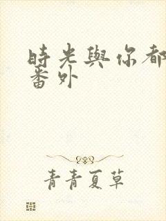 时光与你都很甜番外