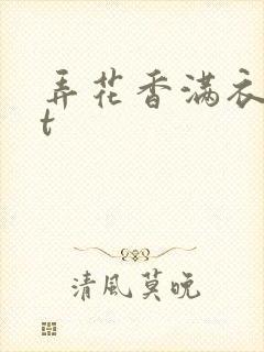 弄花香满衣txt
