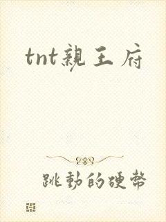 tnt亲王府
