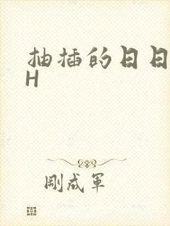 抽插的日日液液H