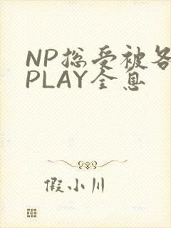 NP总受被各种PLAY全息