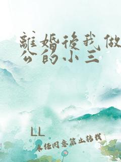 离婚后我做了老公的小三