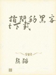 指间的黑客txt下载