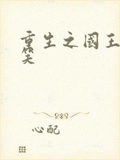 重生之国王的微笑