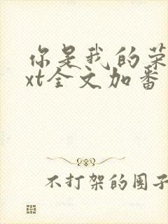 你是我的荣耀txt全文加番外