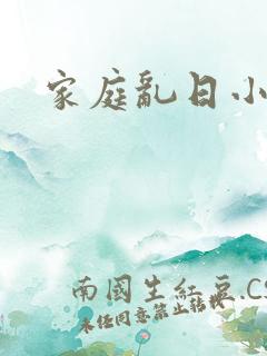家庭乱日小说