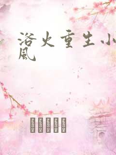 浴火重生小说陈风