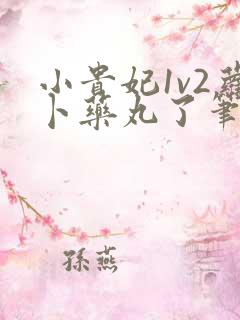 小贵妃1v2萝卜药丸了笔趣阁